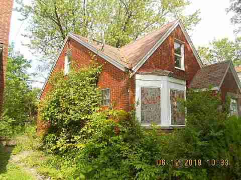 18961 Joann (5)_m.jpg